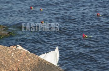 EA292139, Eastpress, Kotka, Finland